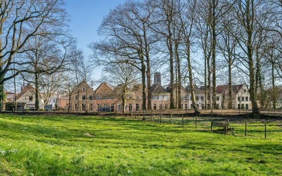 1. Zandstraat Zaltbommel.jpg